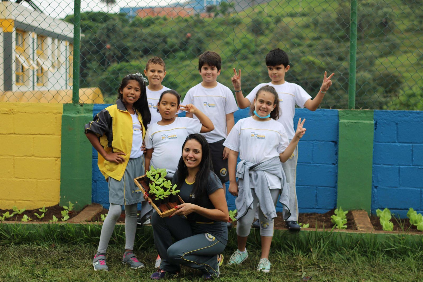 Imagem do Fundamental